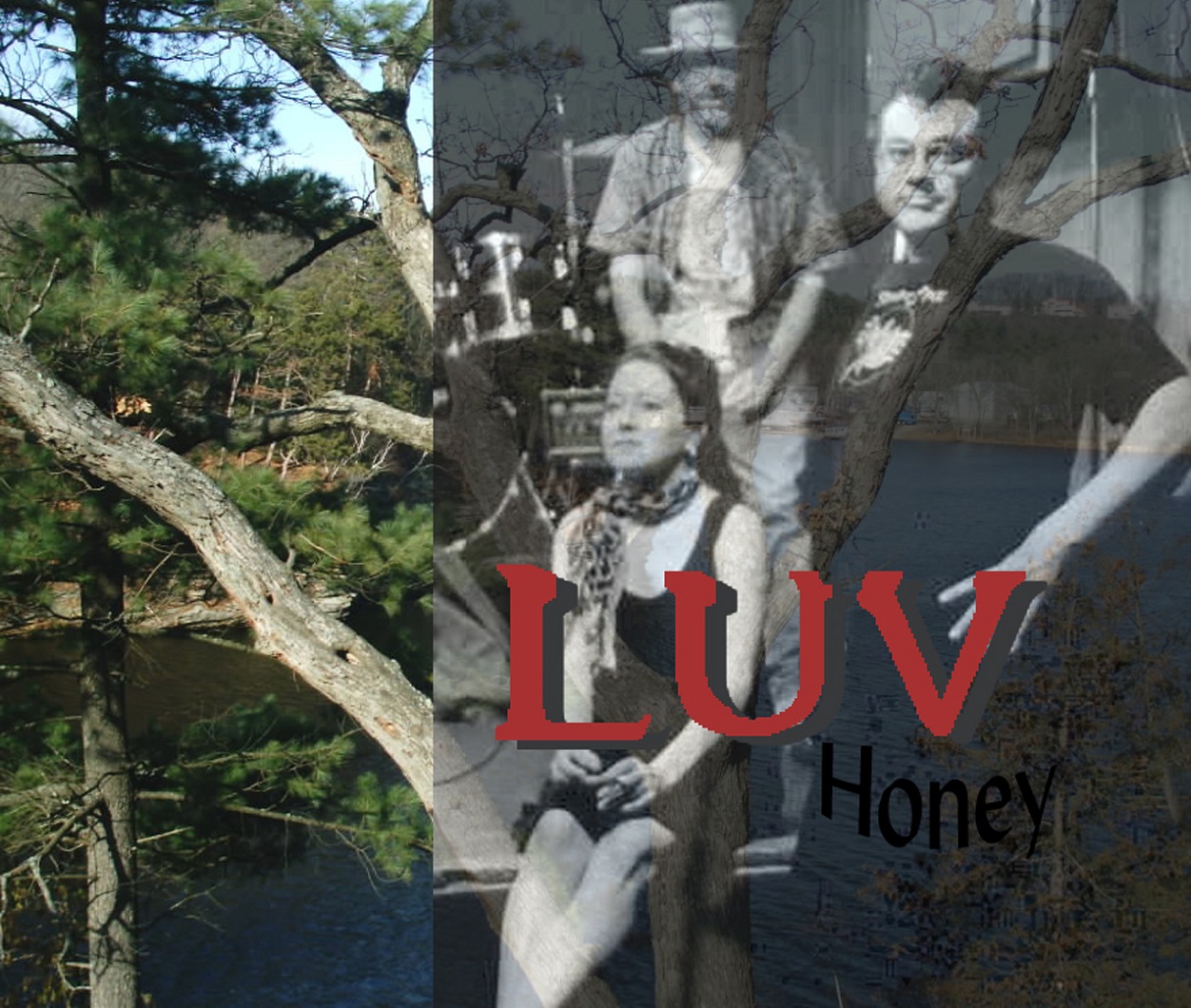 Luv Honey cover